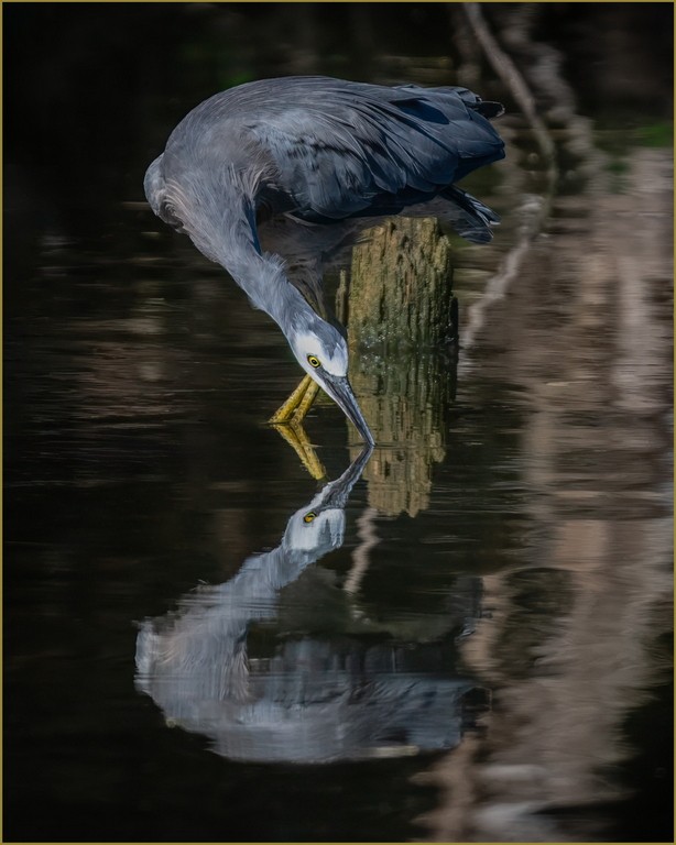 HIGHLY COMMENDED.....Brian Dean